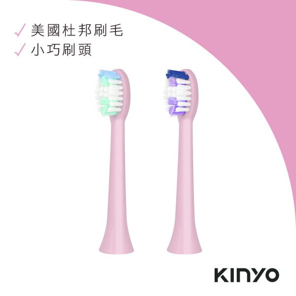 【KINYO】音波牙刷替換刷頭-ETB830-1 (適用型號：ETB-830、ETB-835、ETB-850) 刷頭