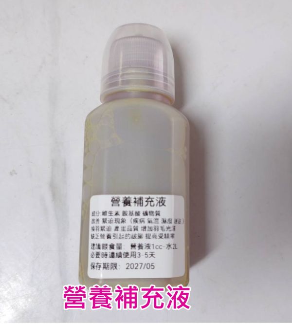 營養補充液 -飲用水添加劑（禽類適用） 維生素、胺基酸、礦物質