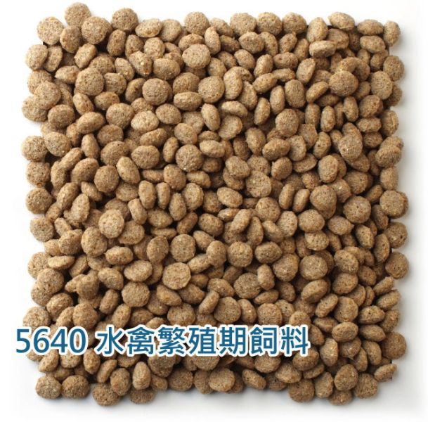 爾娥小姐.瑪滋力-5640水禽專用飼料繁殖期(鵝飼料.鴨飼料.柯爾鴨和其他水禽) 分裝包 瑪滋力 Mazuri 瑪滋力 天鵝飼料 mazur 柯爾鴨飼料 鵝飼料 鴨飼料'