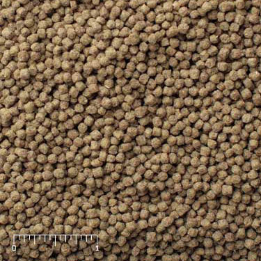 爾娥小姐.Mazuri-5637-野、走禽專用飼料成長期(觀賞雞飼料.雉雞飼料.珍珠雞.孔雀飼料.斑鳩.雜食鳥禽.觀賞鳥類鳥類 )整袋 Mazuri 野、走禽專用飼料成長期(觀賞雞飼料.雉雞飼料.珍珠雞.孔雀飼料.斑鳩.雜食鳥禽.觀賞鳥類鳥類 雞飼料 大雞飼料 小雞飼料