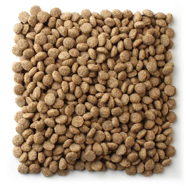 爾娥小姐.瑪滋力5642-水禽專用飼料維持期( 天鵝飼料.鵝飼料.鴨飼料.柯爾鴨和其他水禽) 分裝包 瑪滋力 天鵝飼料 mazur 柯爾鴨飼料 鵝飼料 鴨飼料'
