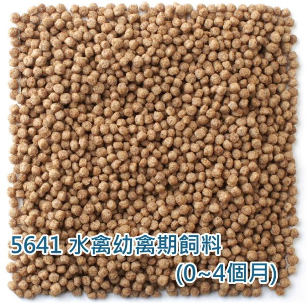 爾娥小姐.瑪滋力-5641水禽專用飼料成長期(鵝飼料.鴨飼料.柯爾鴨和其他水禽) 分裝包 瑪滋力Mazuri 瑪滋力 天鵝飼料 mazur 柯爾鴨飼料 鵝飼料 鴨飼料'