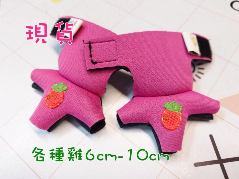 爾娥小姐.美眉/寵物鞋子現貨（黑羽土雞、紅羽土雞、來亨蛋雞、白羽肉雞、日本矮雞適用） 寵物鞋子 雞鞋子 柯爾鴨鞋子