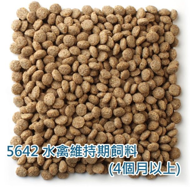 爾娥小姐.瑪滋力5642-水禽專用飼料維持期( 天鵝飼料.鵝飼料.鴨飼料.柯爾鴨和其他水禽) 分裝包 瑪滋力 天鵝飼料 mazur 柯爾鴨飼料 鵝飼料 鴨飼料'