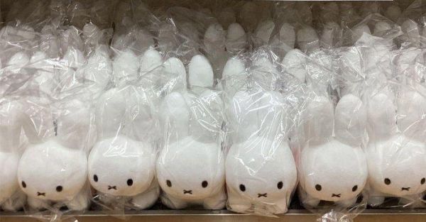 日本限定 米飛兔 MIFFY miffy 米菲趴趴兔絨毛擺飾 米飛兔玩偶 米飛兔S號 15×8×6cm 日本限定 米飛兔 MIFFY miffy 米菲趴趴兔絨毛擺飾 米飛兔玩偶 米飛兔S號 15×8×6cm