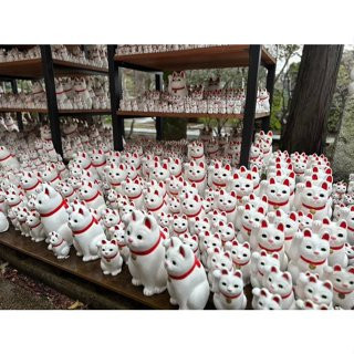 日本限定 豪德寺 豪德寺招財貓 招財貓招福貓 日本豪德寺 招財貓發源地 貓咪 招財貓開運擺飾 御守 現貨 日本限定 豪德寺 豪德寺招財貓 招財貓招福貓 日本豪德寺 招財貓發源地 貓咪 招財貓開運擺飾 御守 現貨