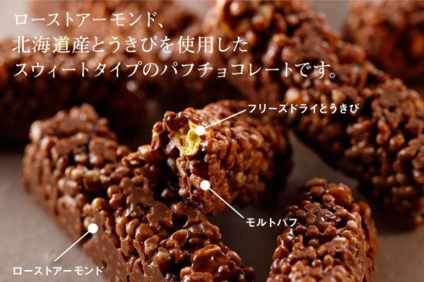 北海道 北菓樓 期間限定 巧克力米果棒 杏仁巧克力米果棒 限量商品 12入 盒裝 巧克力餅乾棒 北海道 北菓樓 期間限定 巧克力米果棒 杏仁巧克力米果棒 限量商品 12入 盒裝 巧克力餅乾棒