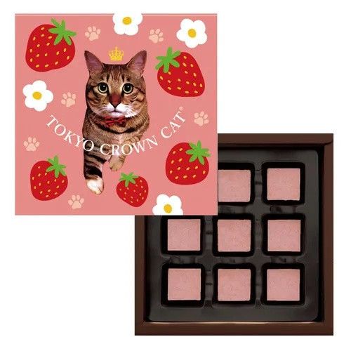 情人節限定 TOKYO CROWN CAT貓咪草莓巧克力禮盒9個入 情人節限定 TOKYO CROWN CAT貓咪草莓巧克力禮盒9個入
