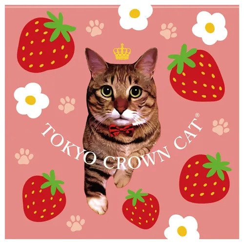 情人節限定 TOKYO CROWN CAT貓咪草莓巧克力禮盒9個入 情人節限定 TOKYO CROWN CAT貓咪草莓巧克力禮盒9個入