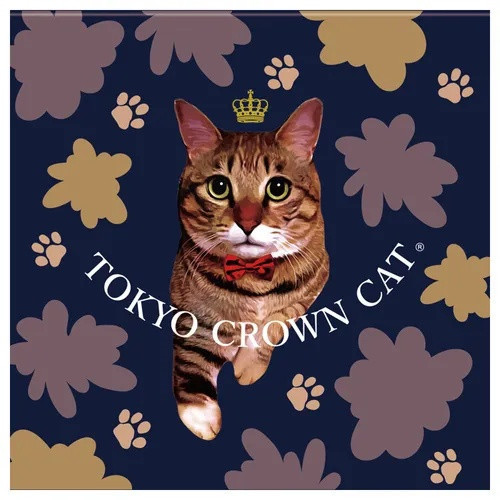 情人節限定 TOKYO CROWN CAT貓咪巧克力禮盒9個入 情人節限定 TOKYO CROWN CAT貓咪巧克力禮盒9個入