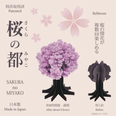 日本限定 櫻花季限定 日本製紙製開花櫻花樹 櫻花樹擺飾 櫻花樹 期間限定 開花櫻花樹擺飾 裝飾小物 日本限定 櫻花季限定 日本製紙製開花櫻花樹 櫻花樹擺飾 櫻花樹 期間限定 開花櫻花樹擺飾 裝飾小物