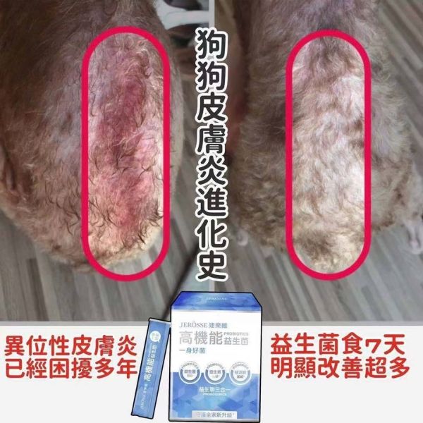 【年終慶】高機能益生菌和晶亮凍超值組 【夏日對策】水光繃帶面膜精裝盒超值組,水光繃帶面膜,水光面膜,婕樂纖