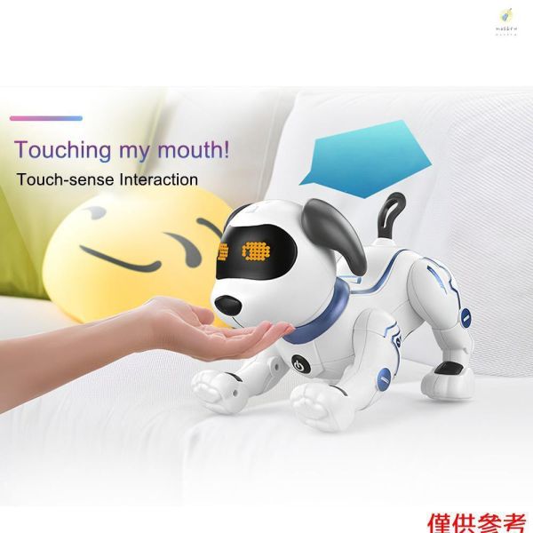 充電款 K16A 特技狗  考試獎勵 生日禮物 新年送禮 