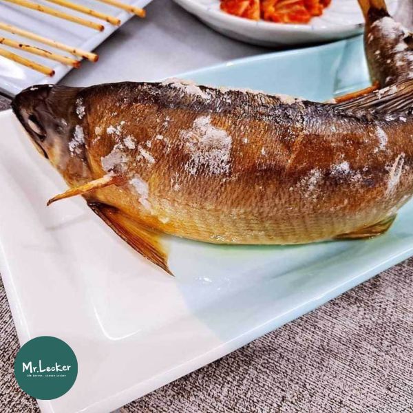 宜蘭巨無霸抱卵母香魚 抱卵母香魚