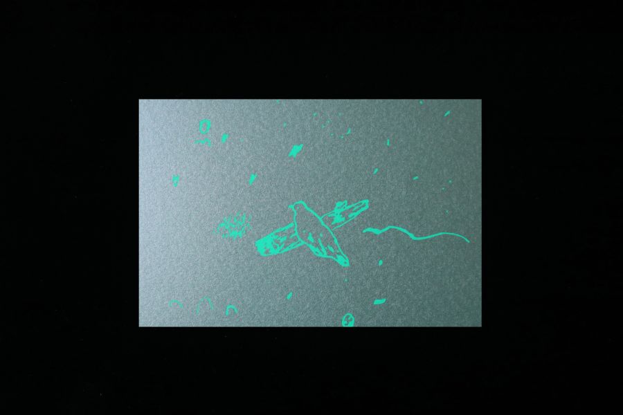 編星 明信片 / 萬用卡片 