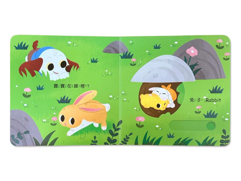 動物猜猜猜：寶寶在哪裡？ 