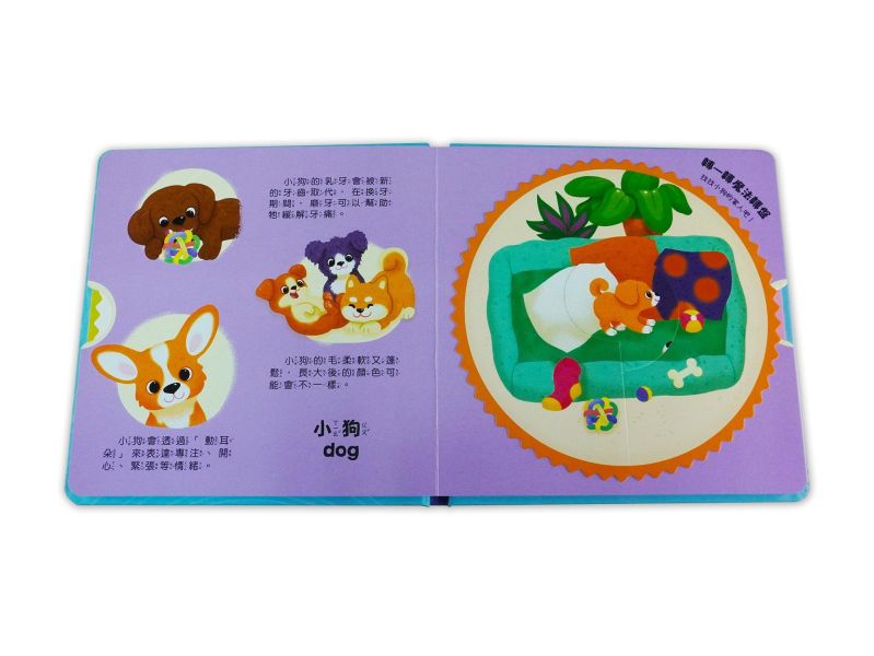 我的魔法轉轉書套書（全套4冊） 