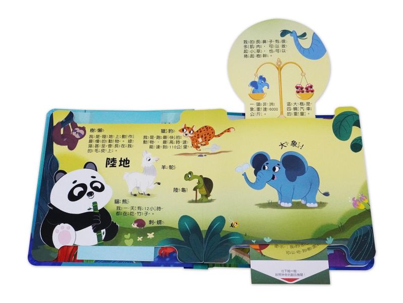 抽拉百變翻翻書套書（全套4冊） 