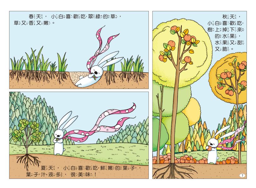 兔子小白益智遊戲繪本：小白和樹木 