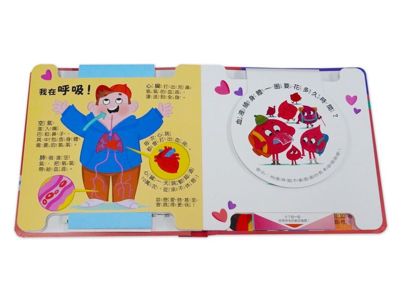 抽拉百變翻翻書套書（全套4冊） 