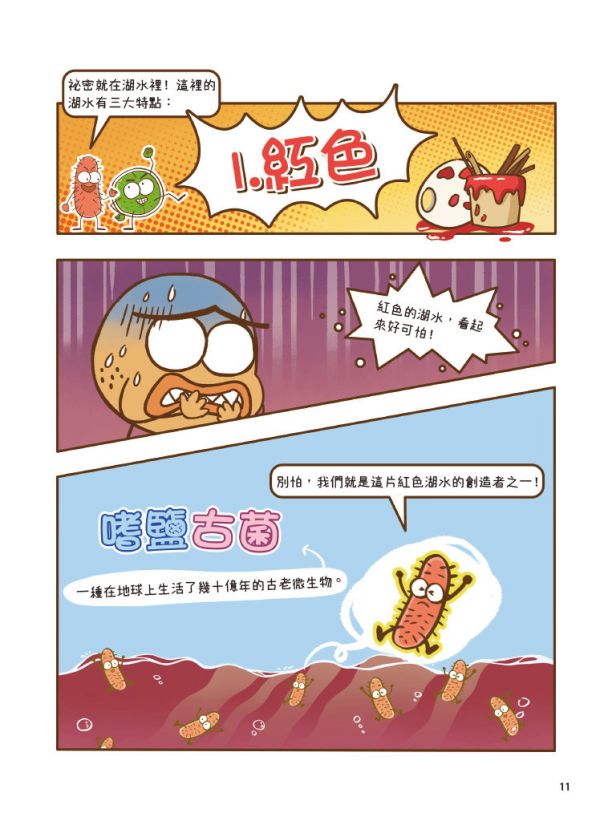 科學就是這麼逗(全套4冊)：腦洞大開的科普漫畫 