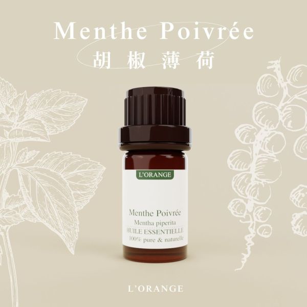 胡椒薄荷精油 