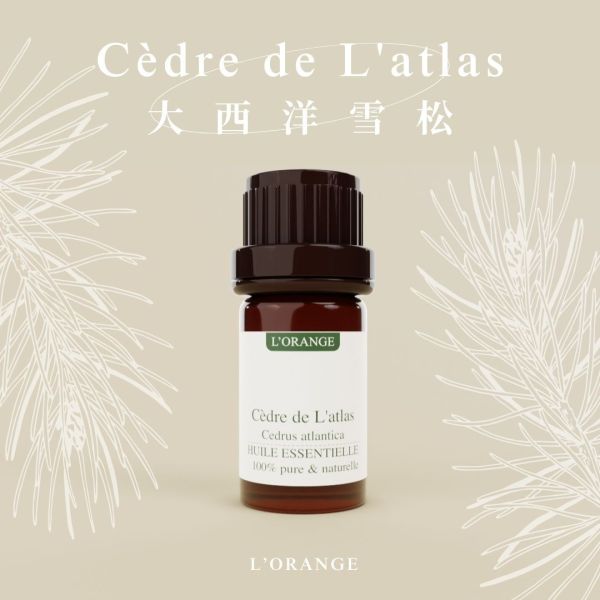 大西洋雪松精油 大西洋雪松,大西洋雪松精油,岩玫瑰,岩玫瑰精油