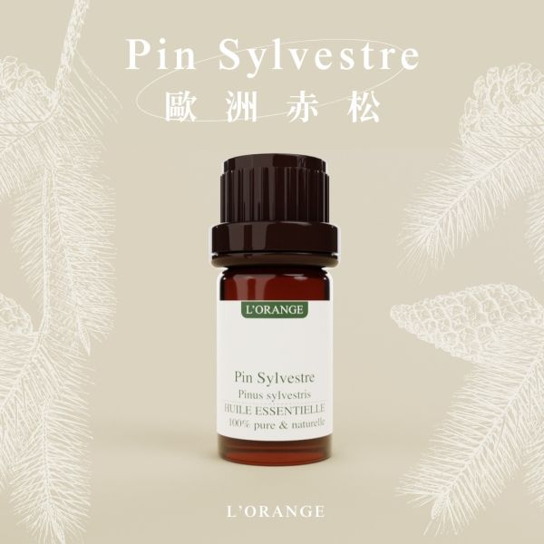 歐洲赤松精油 