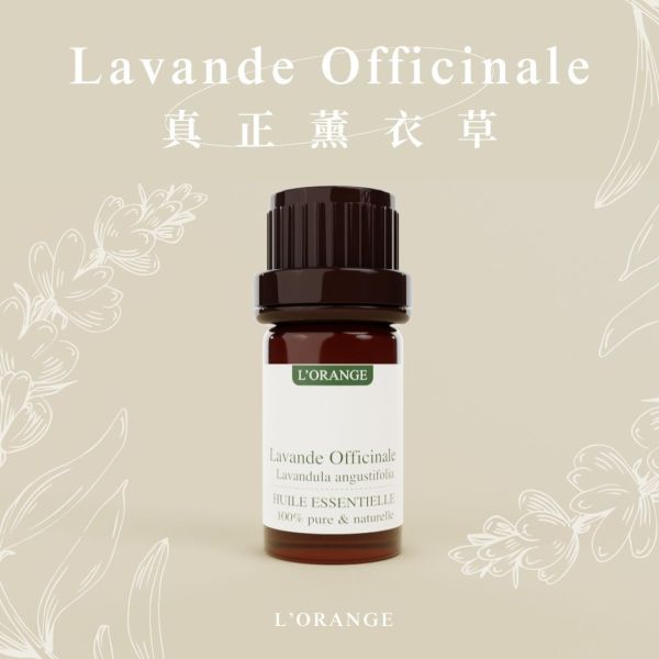 真正薰衣草精油 