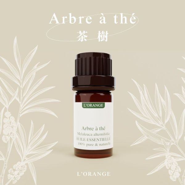澳洲茶樹精油 