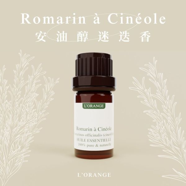 安油醇迷迭香精油 