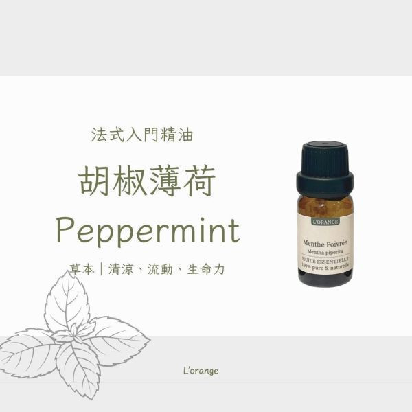 胡椒薄荷精油 