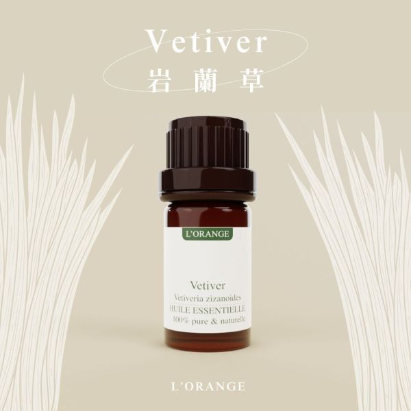 岩蘭草精油 
