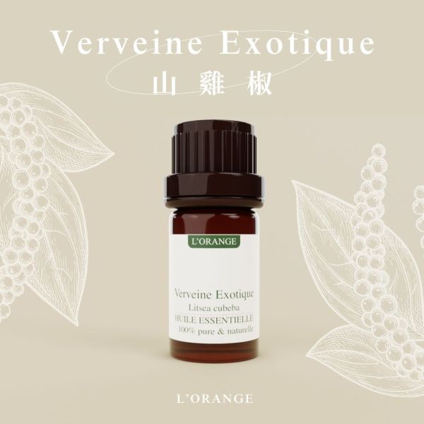 山雞椒精油 