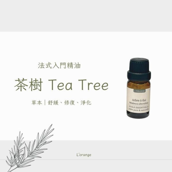 澳洲茶樹精油 