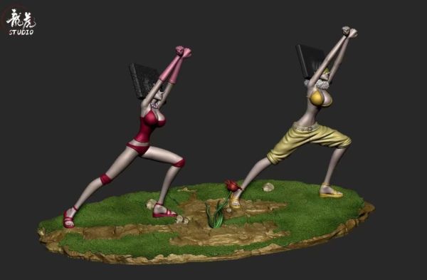 【預購】龍虎 方塊姊妹 海賊王 心蹤,shinzou,GK,雕像,公仔,玩具,模型,一番賞,GK模型,GK雕像