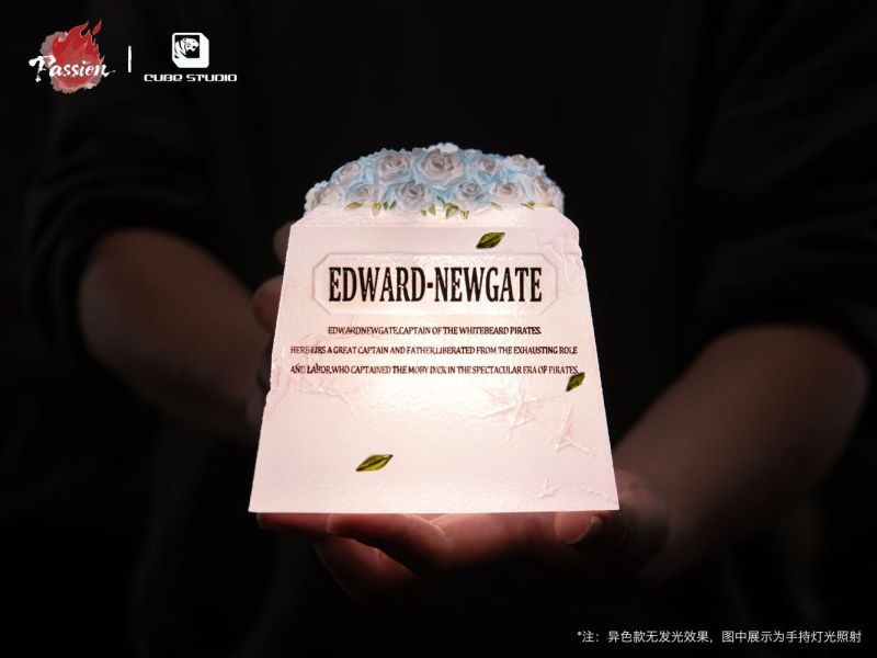 【預購】Passion×CUBE 白鬍子與艾斯的終點2.0 海賊王 心蹤,shinzou,GK,雕像,公仔,玩具,模型,一番賞,GK模型,GK雕像