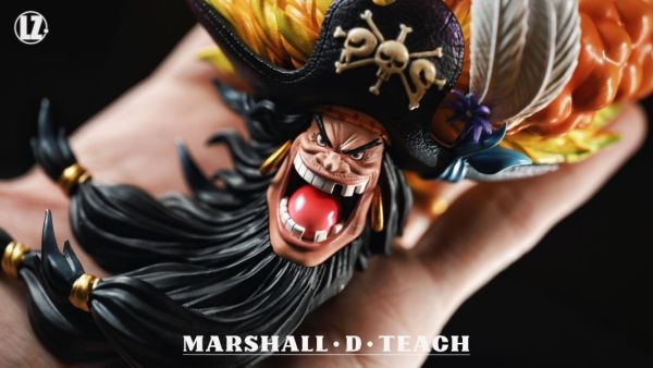 【預購】Lz 兩年後黑鬍子 海賊王 心蹤,shinzou,GK,雕像,公仔,玩具,模型,一番賞,GK模型,GK雕像