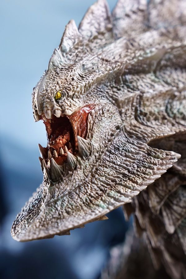 【預購】龍之邊境 DragonFrontier 崩龍 魔物獵人 心蹤,shinzou,GK,雕像,公仔,玩具,模型,一番賞,GK模型,GK雕像