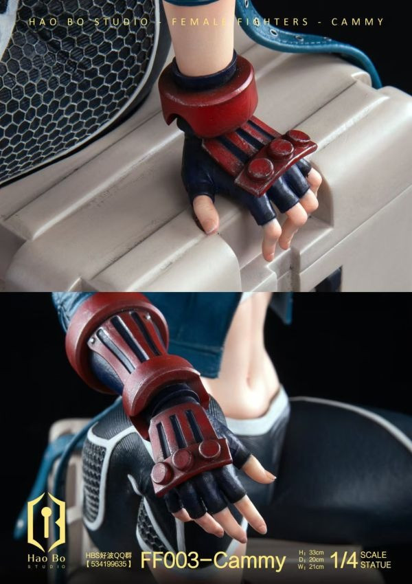 【預購】HBS好波 Cammy 嘉米 雙版本 快打旋風 街頭霸王 心蹤 𝑺𝒉𝒊𝒏𝒁𝒐𝒖,心蹤,ShinZou,心蹤GK,心粽GK,心綜GK,心縱GK,新宗GK,新縱GK,新粽GK,新蹤GK,火影忍者GK,海賊王GK,七龍珠GK,巨人GK,間諜家家酒GK,咒術迴戰GK,GK