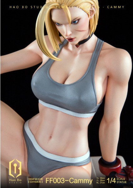 【預購】HBS好波 Cammy 嘉米 雙版本 快打旋風 街頭霸王 心蹤 𝑺𝒉𝒊𝒏𝒁𝒐𝒖,心蹤,ShinZou,心蹤GK,心粽GK,心綜GK,心縱GK,新宗GK,新縱GK,新粽GK,新蹤GK,火影忍者GK,海賊王GK,七龍珠GK,巨人GK,間諜家家酒GK,咒術迴戰GK,GK