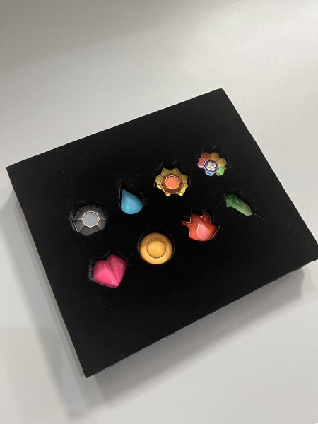 【海外現貨】LD 初代八大道館徽章 寶可夢 心蹤,shinzou,GK,雕像,公仔,玩具,模型,一番賞,GK模型,GK雕像