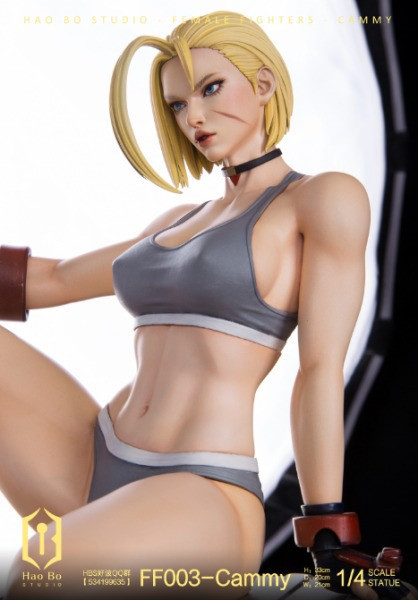 【預購】HBS好波 Cammy 嘉米 雙版本 快打旋風 街頭霸王 心蹤 𝑺𝒉𝒊𝒏𝒁𝒐𝒖,心蹤,ShinZou,心蹤GK,心粽GK,心綜GK,心縱GK,新宗GK,新縱GK,新粽GK,新蹤GK,火影忍者GK,海賊王GK,七龍珠GK,巨人GK,間諜家家酒GK,咒術迴戰GK,GK