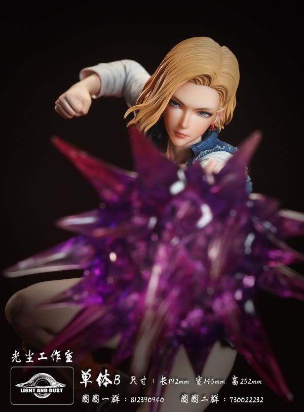 【預購】光塵 天下第一美女武道會 18號vs大和 七龍珠 海賊王 心蹤,shinzou,GK,雕像,公仔,玩具,模型,一番賞,GK模型,GK雕像