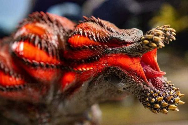 【預購】Dragon Frontier丨魔物獵人 煌怒恐暴龍 心蹤 𝑺𝒉𝒊𝒏𝒁𝒐𝒖,心蹤,ShinZou,心蹤GK,心粽GK,心綜GK,心縱GK,新宗GK,新縱GK,新粽GK,新蹤GK,火影忍者GK,海賊王GK,七龍珠GK,巨人GK,間諜家家酒GK,咒術迴戰GK,GK