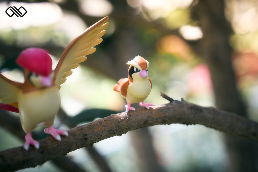 【預購】∞無限丨寶可夢 神奇寶貝 波波&比比鳥&大比鳥 進化組 雙配色 心蹤 𝑺𝒉𝒊𝒏𝒁𝒐𝒖,心蹤,ShinZou,心蹤GK,心粽GK,心綜GK,心縱GK,新宗GK,新縱GK,新粽GK,新蹤GK,火影忍者GK,海賊王GK,七龍珠GK,巨人GK,間諜家家酒GK,咒術迴戰GK,GK