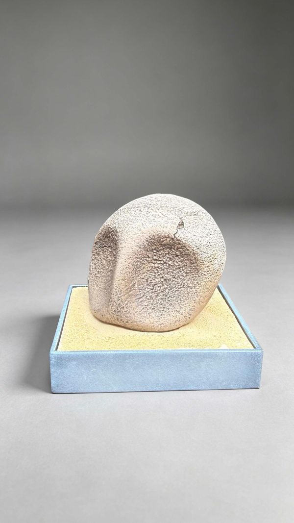 【預購】miumiu 皮卡化石博物館系列 第一彈 寶可夢 心蹤,shinzou,GK,雕像,公仔,玩具,模型,一番賞,GK模型,GK雕像