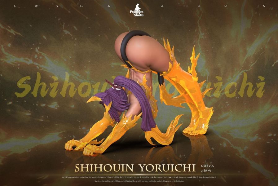 【預購】Freedom 四楓院夜一 死神 心蹤,shinzou,GK,雕像,公仔,玩具,模型,一番賞,GK模型,GK雕像