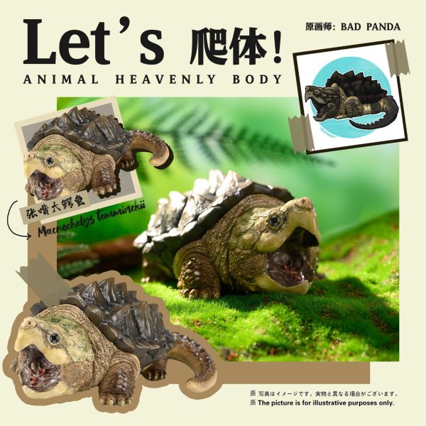 【預購】動物星球丨原創作品 張嘴大鱷龜 Let's Party系列 心蹤 𝑺𝒉𝒊𝒏𝒁𝒐𝒖,心蹤,ShinZou,心蹤GK,心粽GK,心綜GK,心縱GK,新宗GK,新縱GK,新粽GK,新蹤GK,火影忍者GK,海賊王GK,七龍珠GK,巨人GK,間諜家家酒GK,咒術迴戰GK,GK