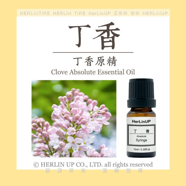 丁香原精 10ml 丁香花 原精 Clove HerLinUP 丁香原精 10ml 丁香花 原精 Clove HerLinUP